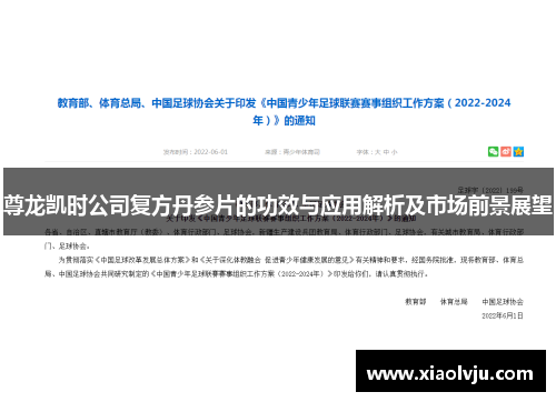 尊龙凯时公司复方丹参片的功效与应用解析及市场前景展望 尊龙凯时公司复方丹参片的功效与应用解析及市场前景展望
