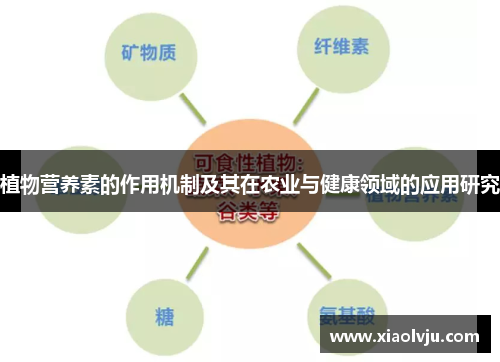 植物营养素的作用机制及其在农业与健康领域的应用研究 植物营养素的作用机制及其在农业与健康领域的应用研究