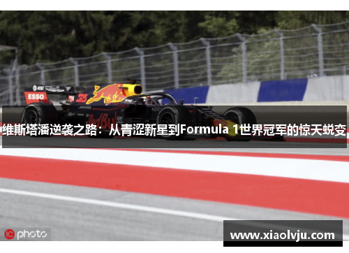 维斯塔潘逆袭之路：从青涩新星到Formula 1世界冠军的惊天蜕变